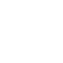 InstagramIcon